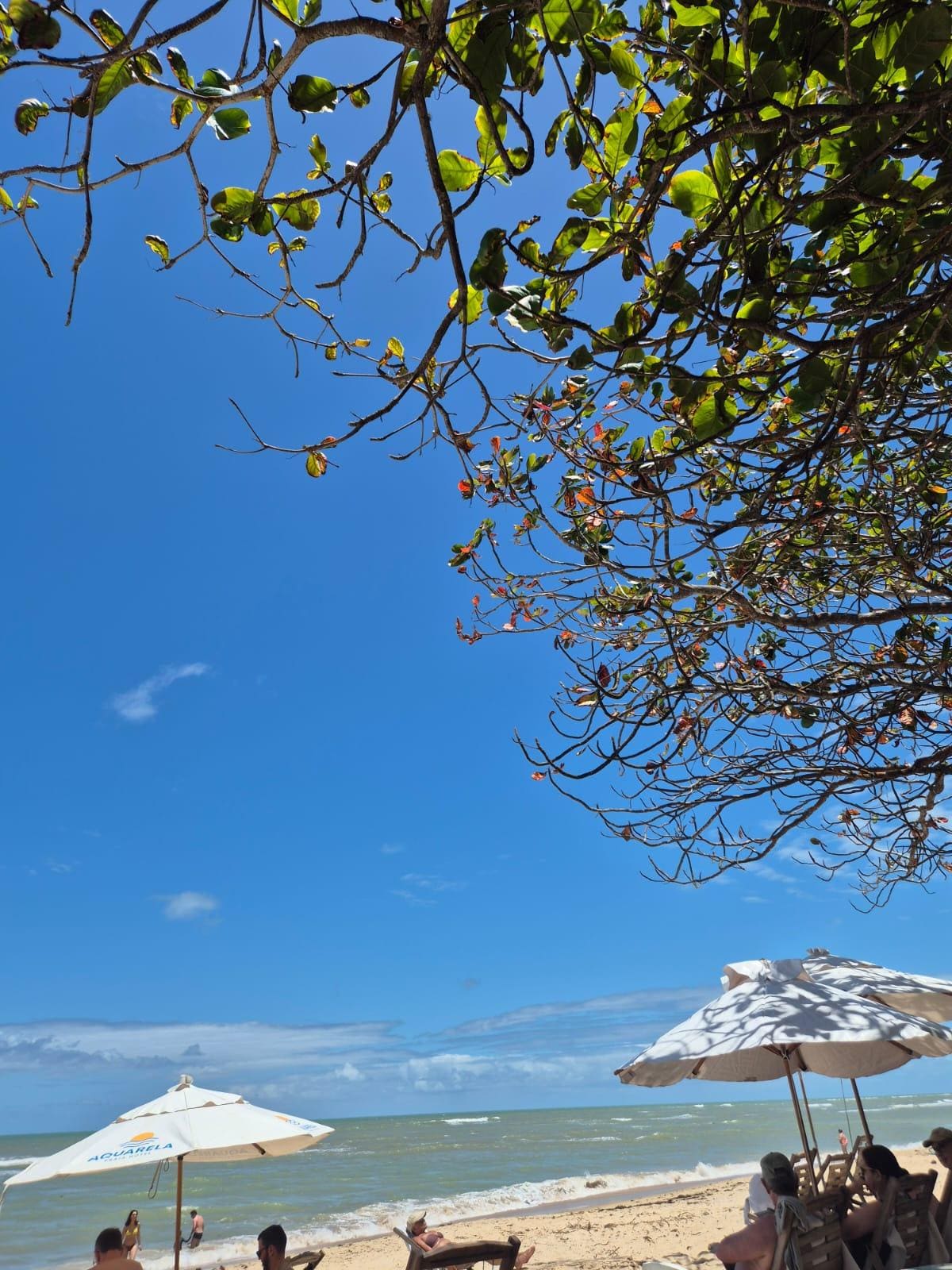 Sentadinha  na "varanda" do restaurante