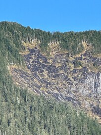 Mountain goats area