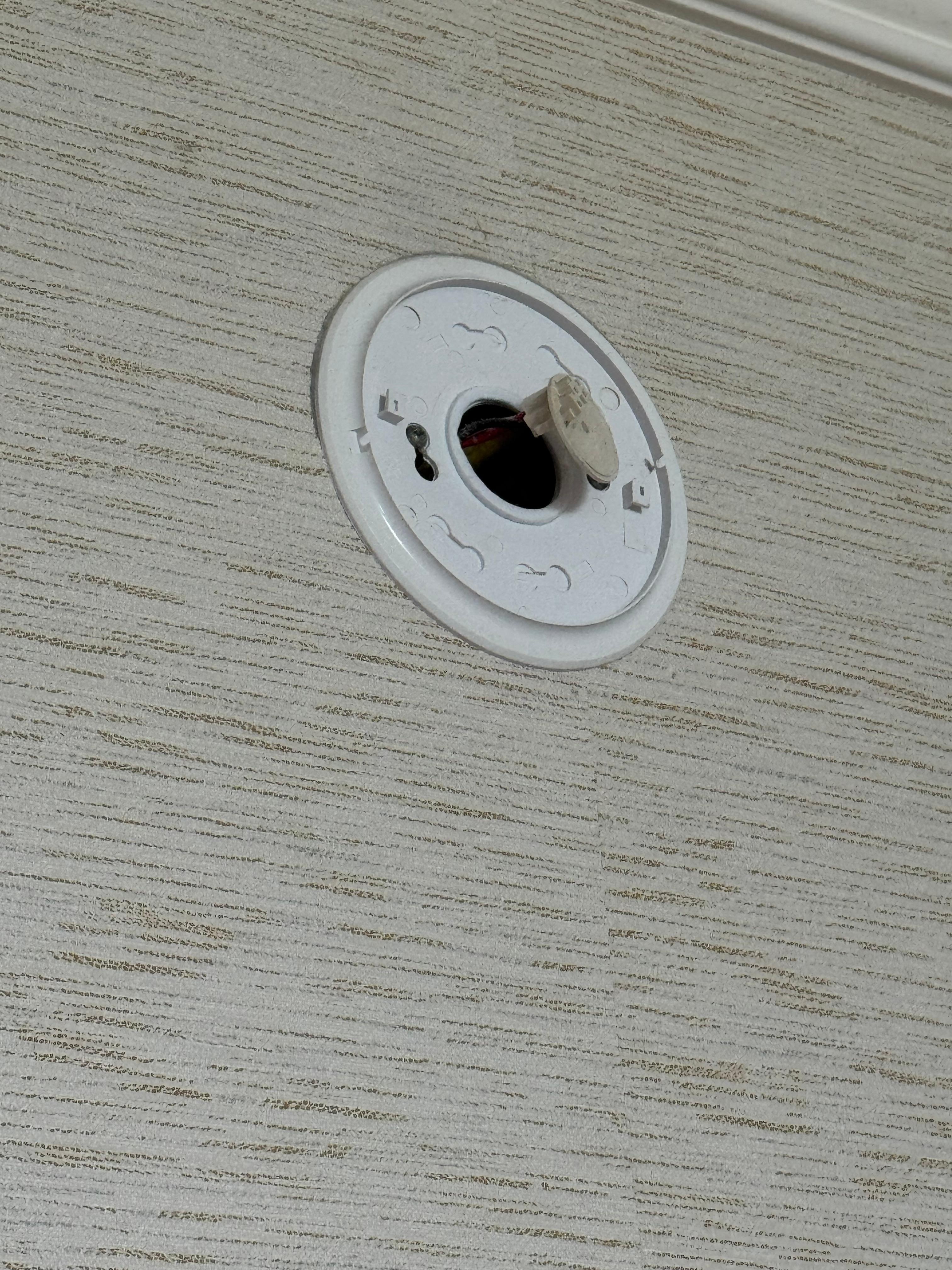 Missing smoke detector