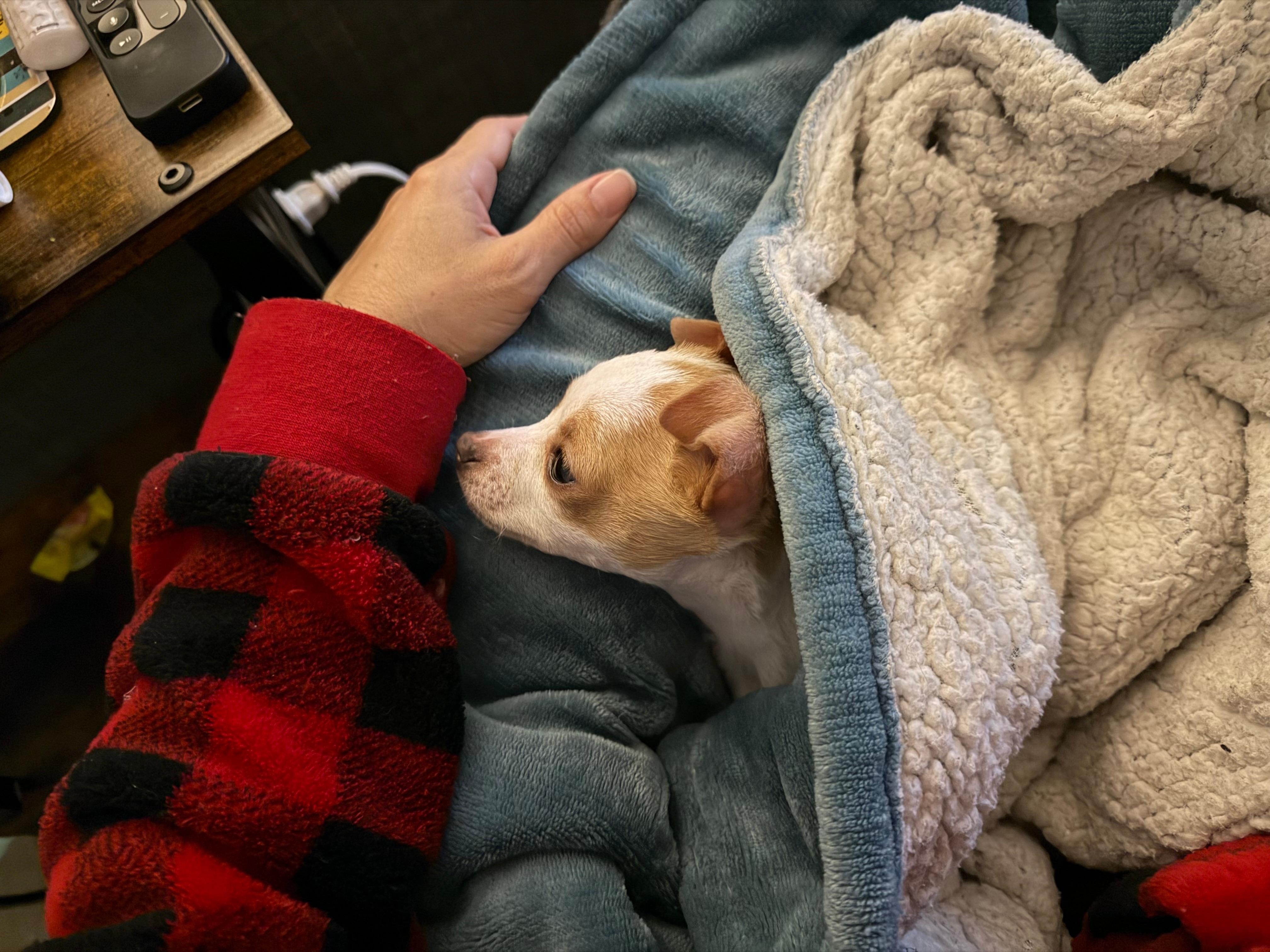 The view from our room ❤️ 