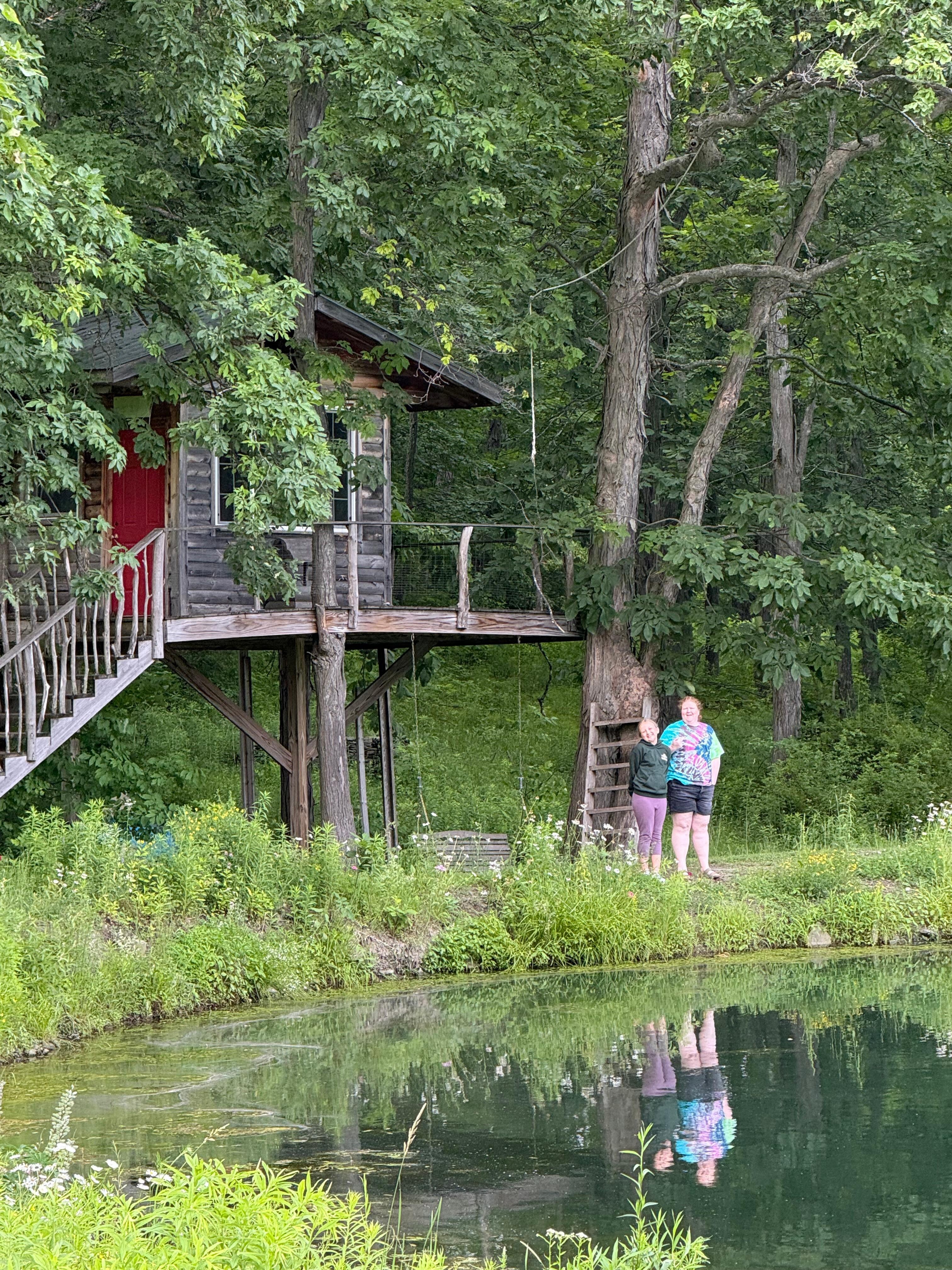 Tree house! 