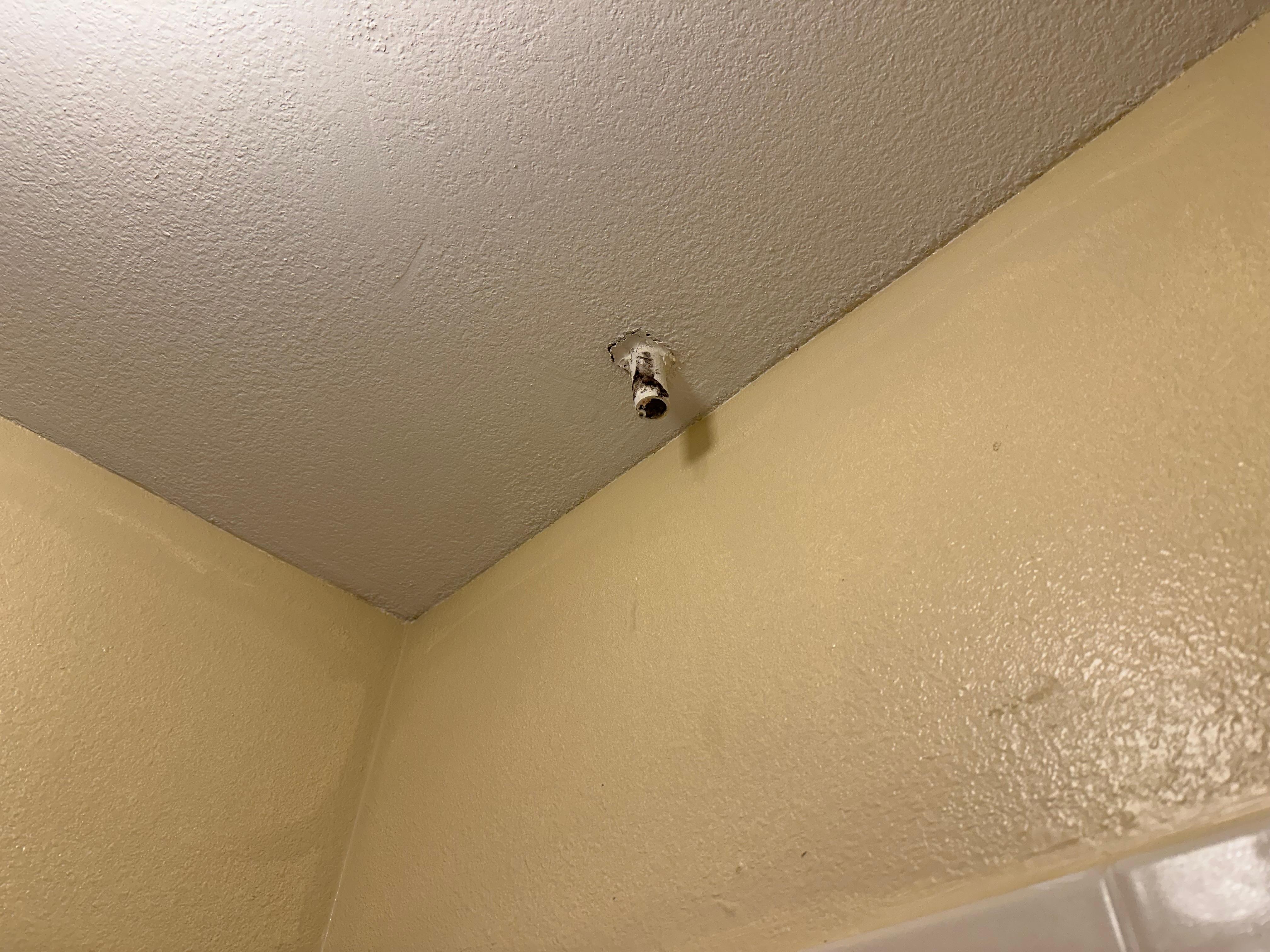 A/C condensate drain dripping into the shower and onto the head splattering on you!