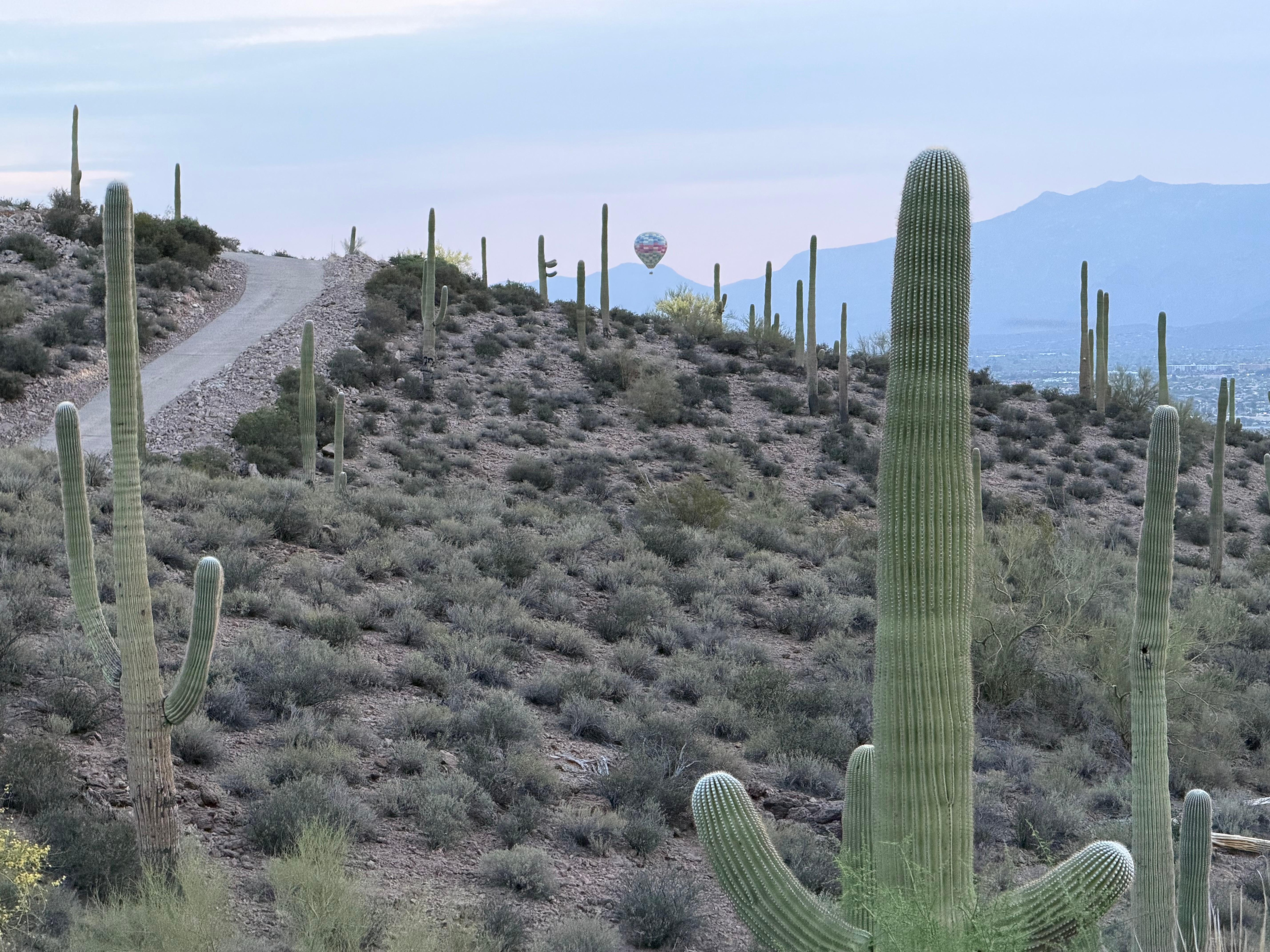 Watched a hot air balloon take off and float behind the hill where the driveway winds toward the house. 