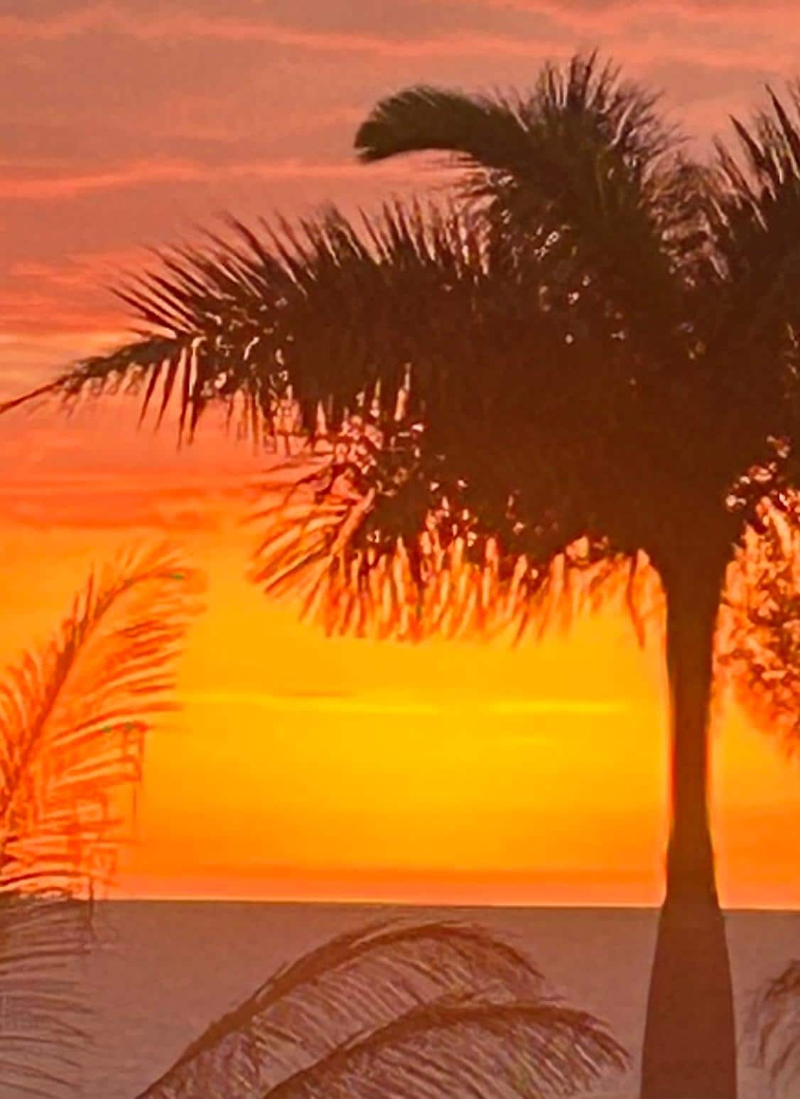 Sunset from the balcony