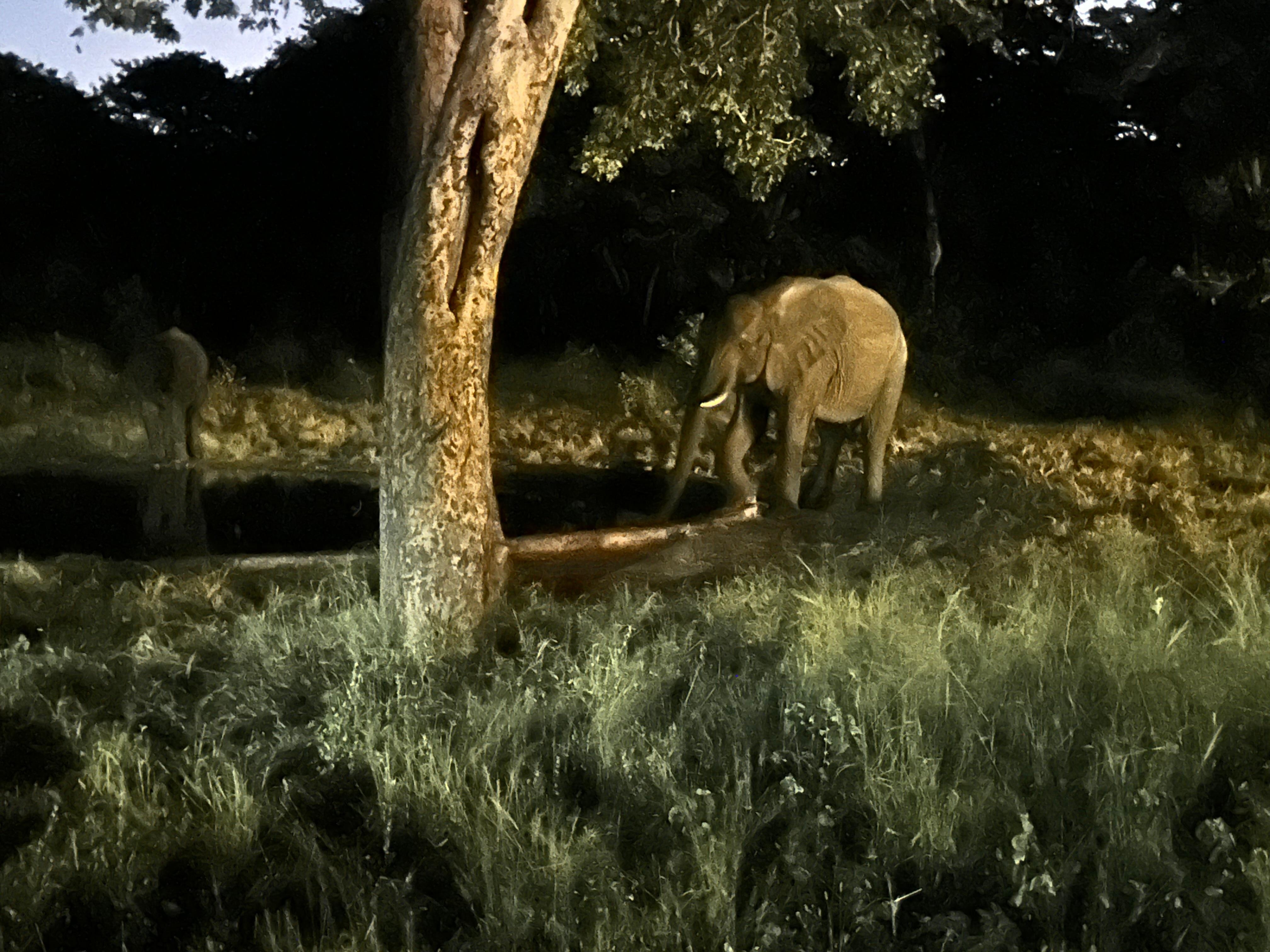 View from where we ate dinner