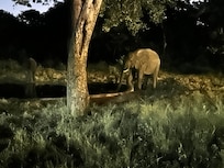 View from where we ate dinner