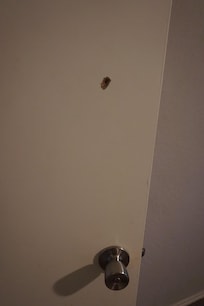 Hole in door