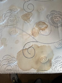 What appears to be a pee stain on one of the beds in the master bedroom