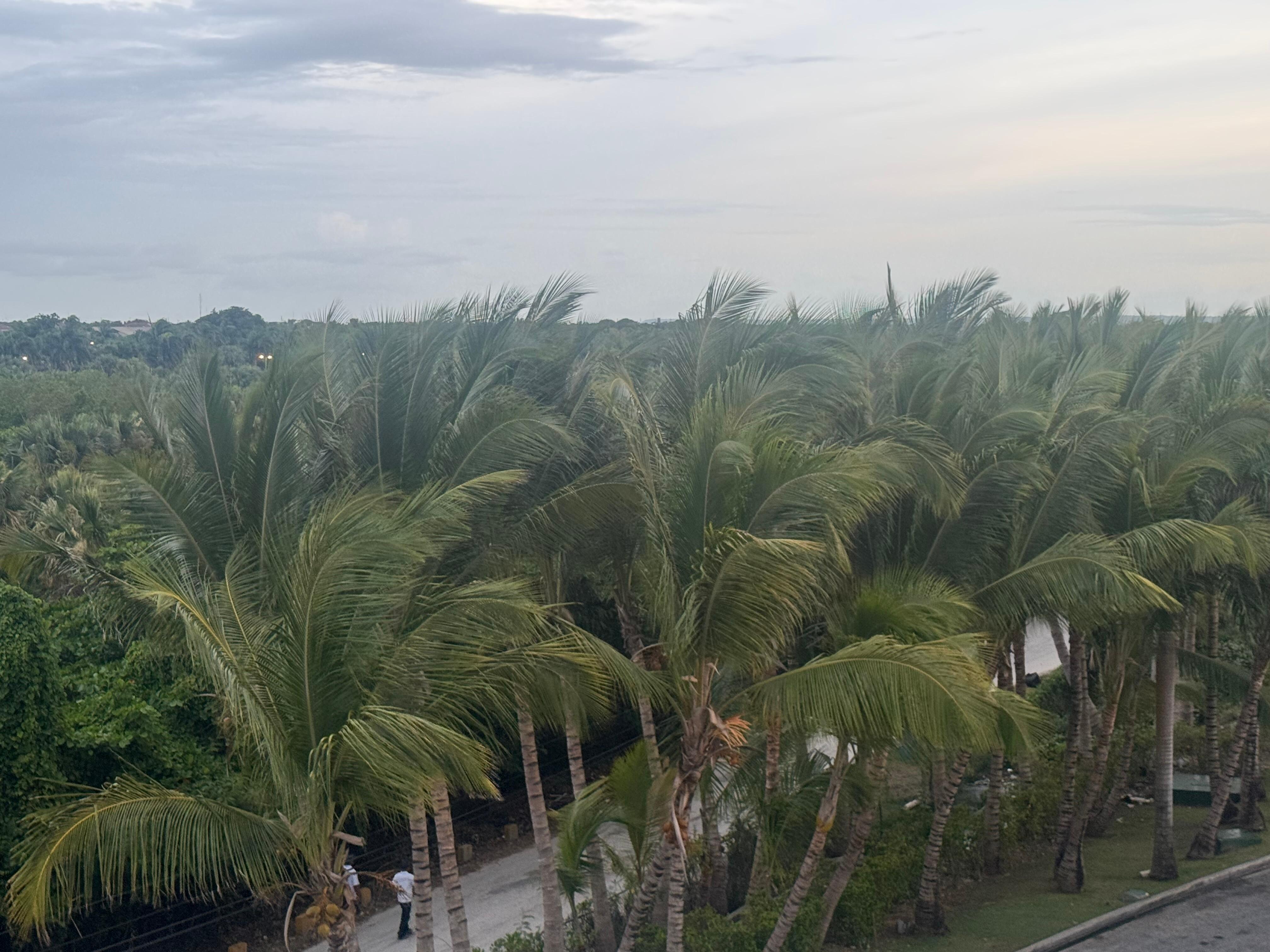 This is a view from our room. 