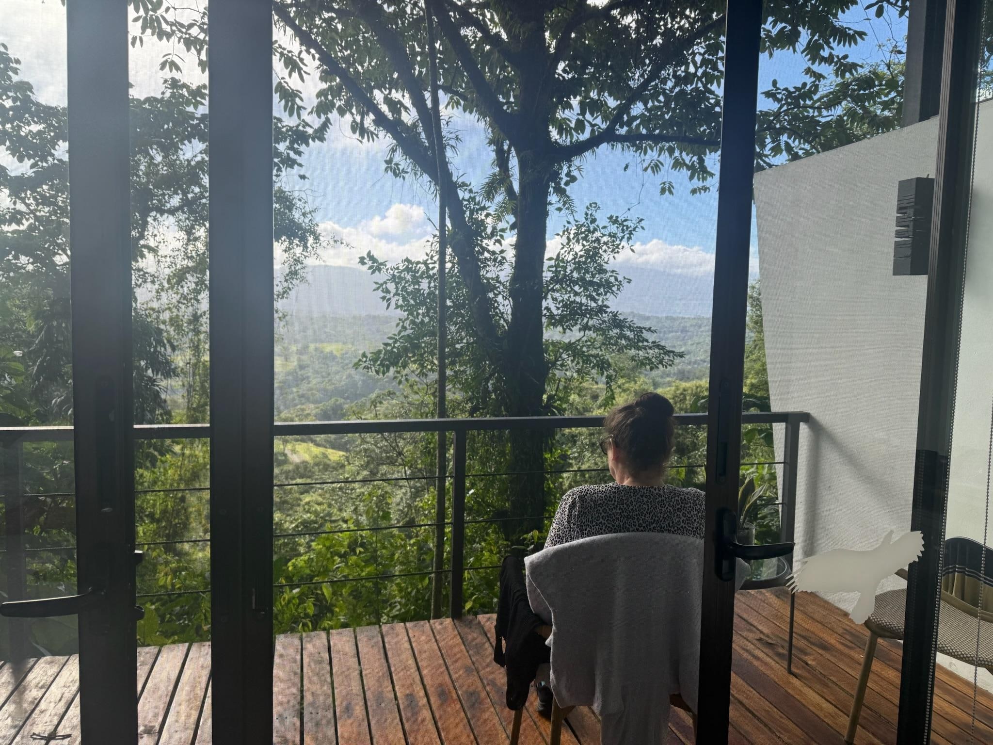 The view from inside the villa looking out the wall of glass windows