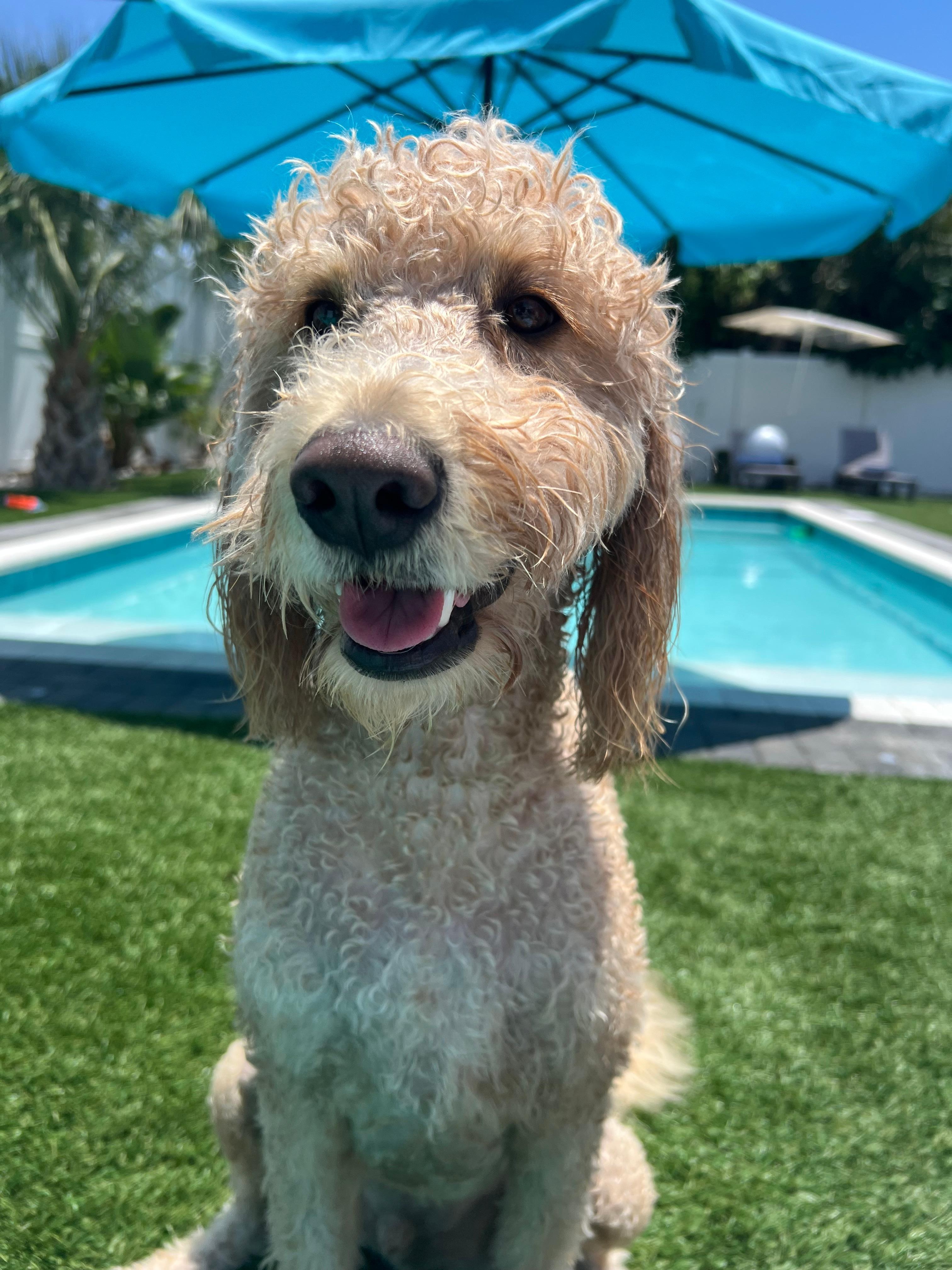 Wally