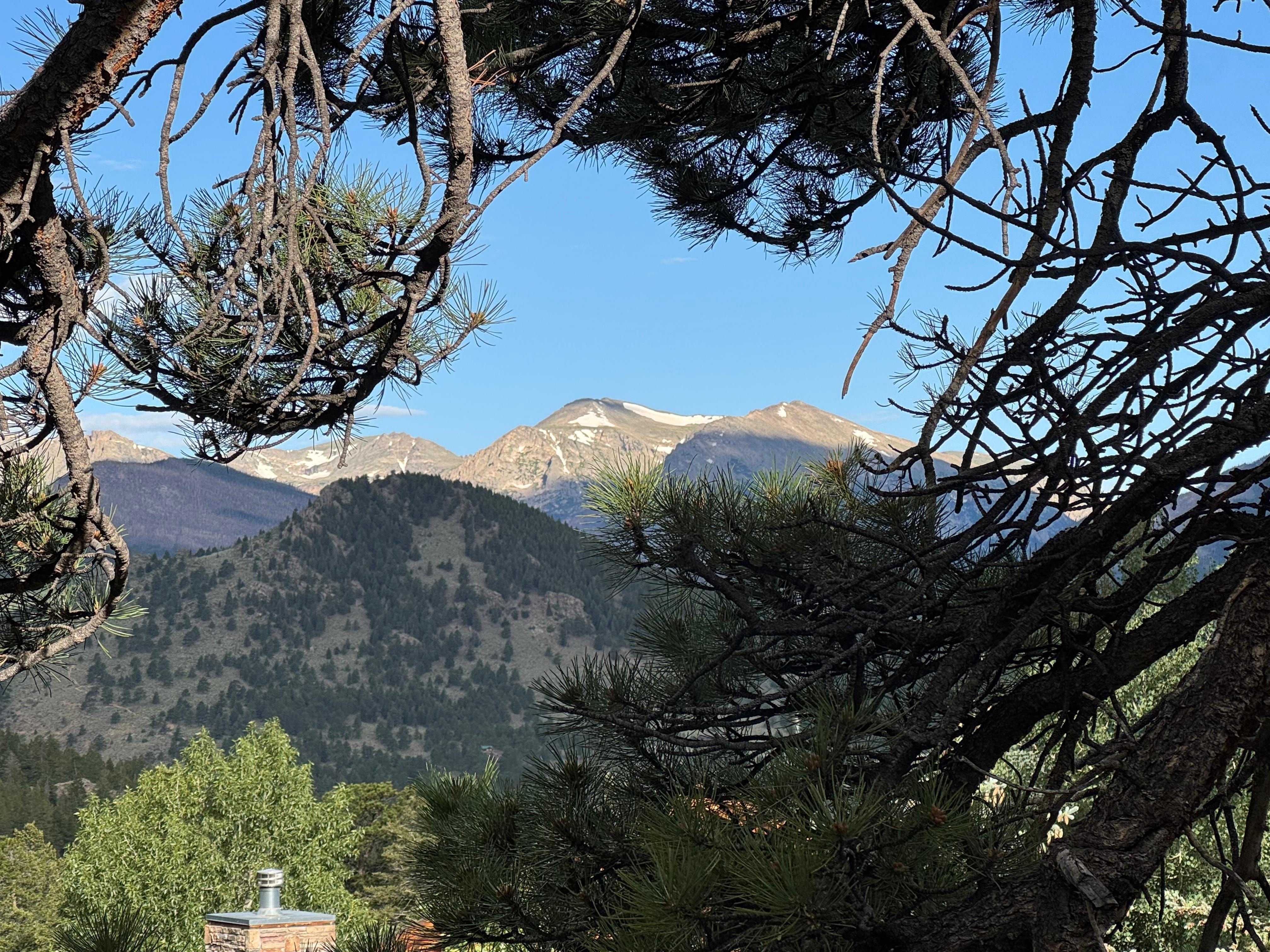 View from the balcony.