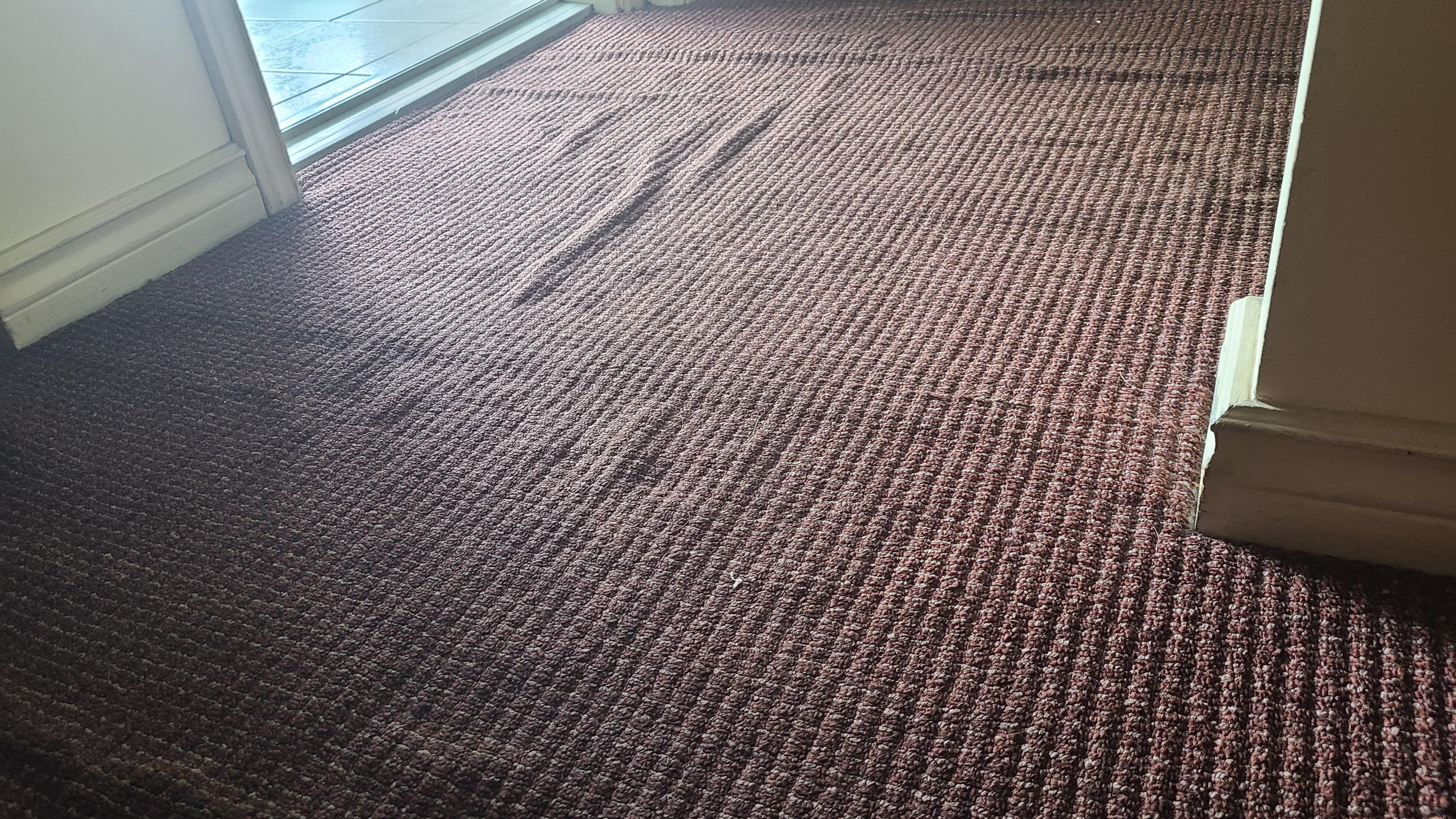 Carpet