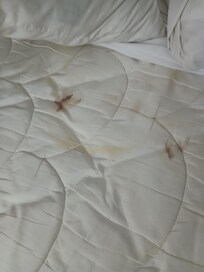 Middle of top of bed with more blood stains and bodily fluids