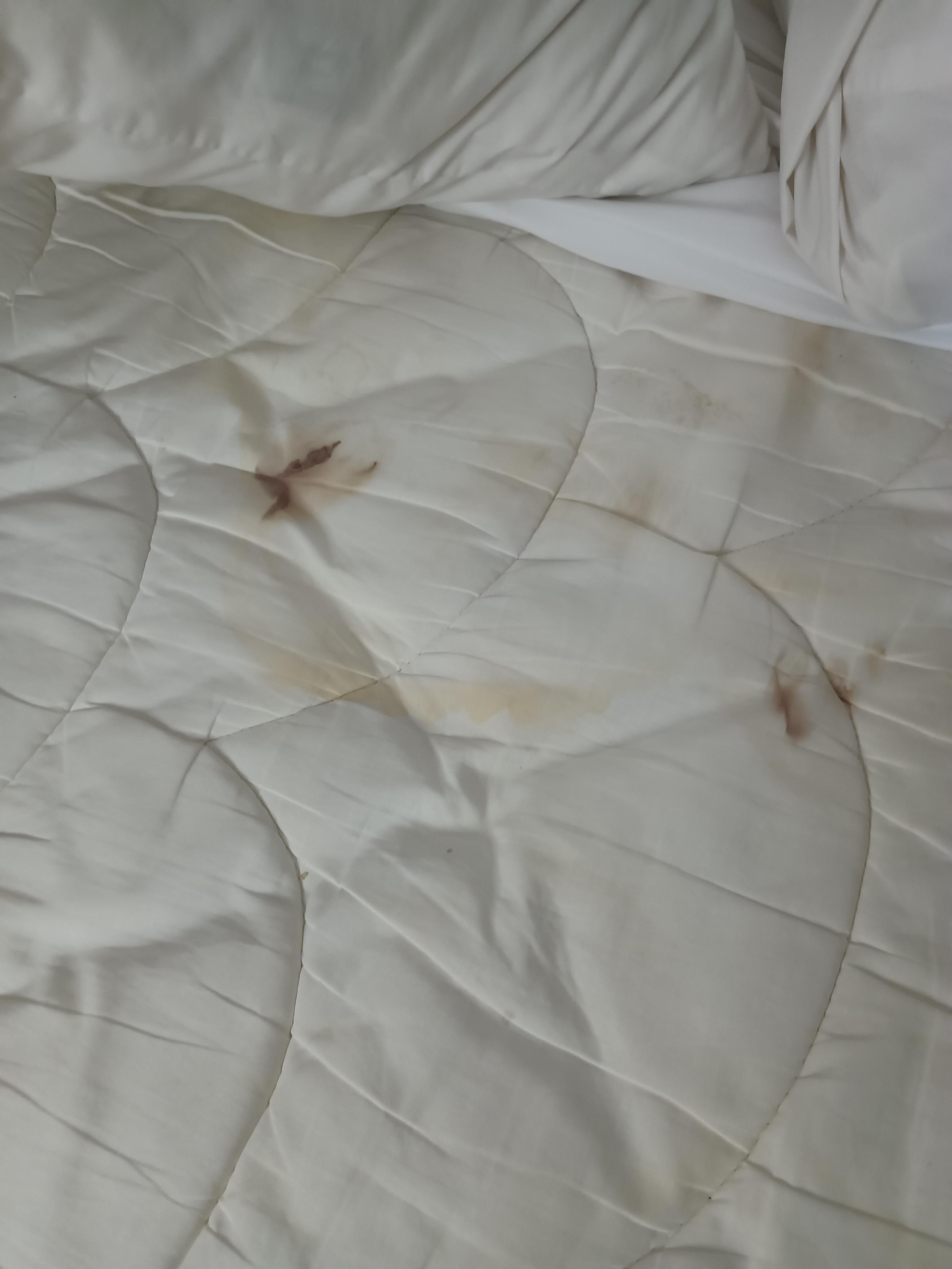 Middle of top of bed with more blood stains and bodily fluids