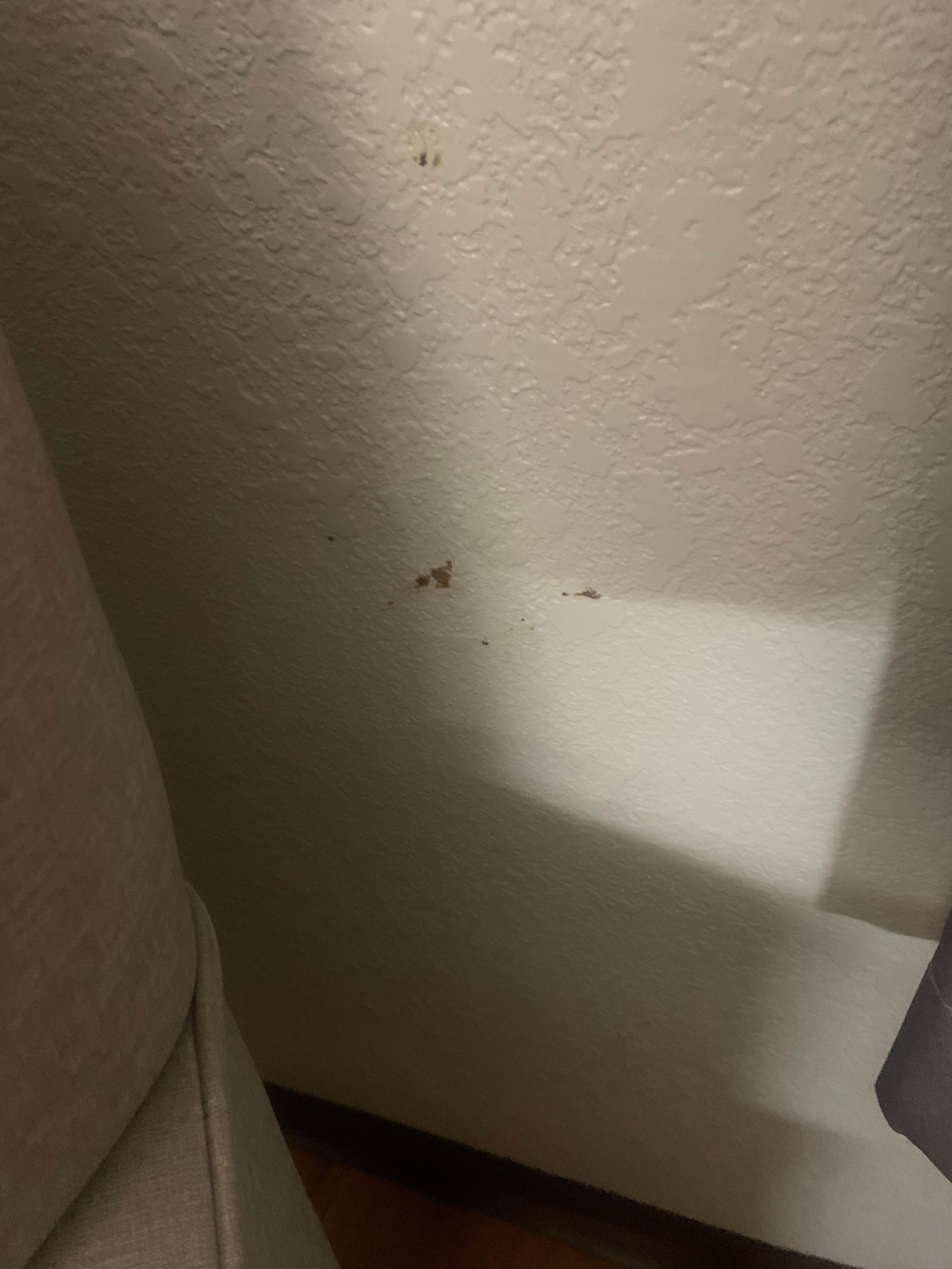 Gunk on walls.