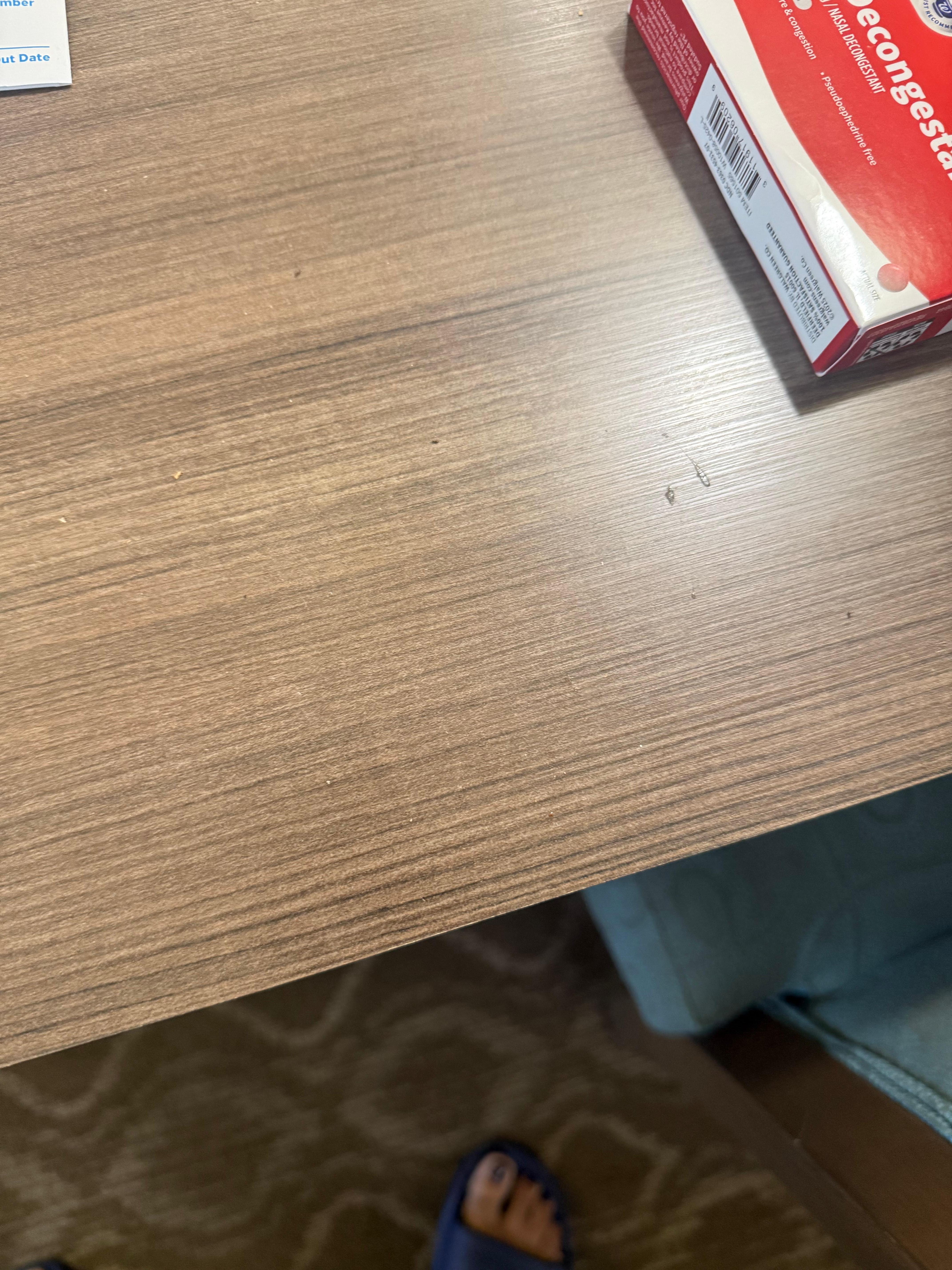 Bugs crawling on the table. 