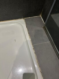 Mold, dirty