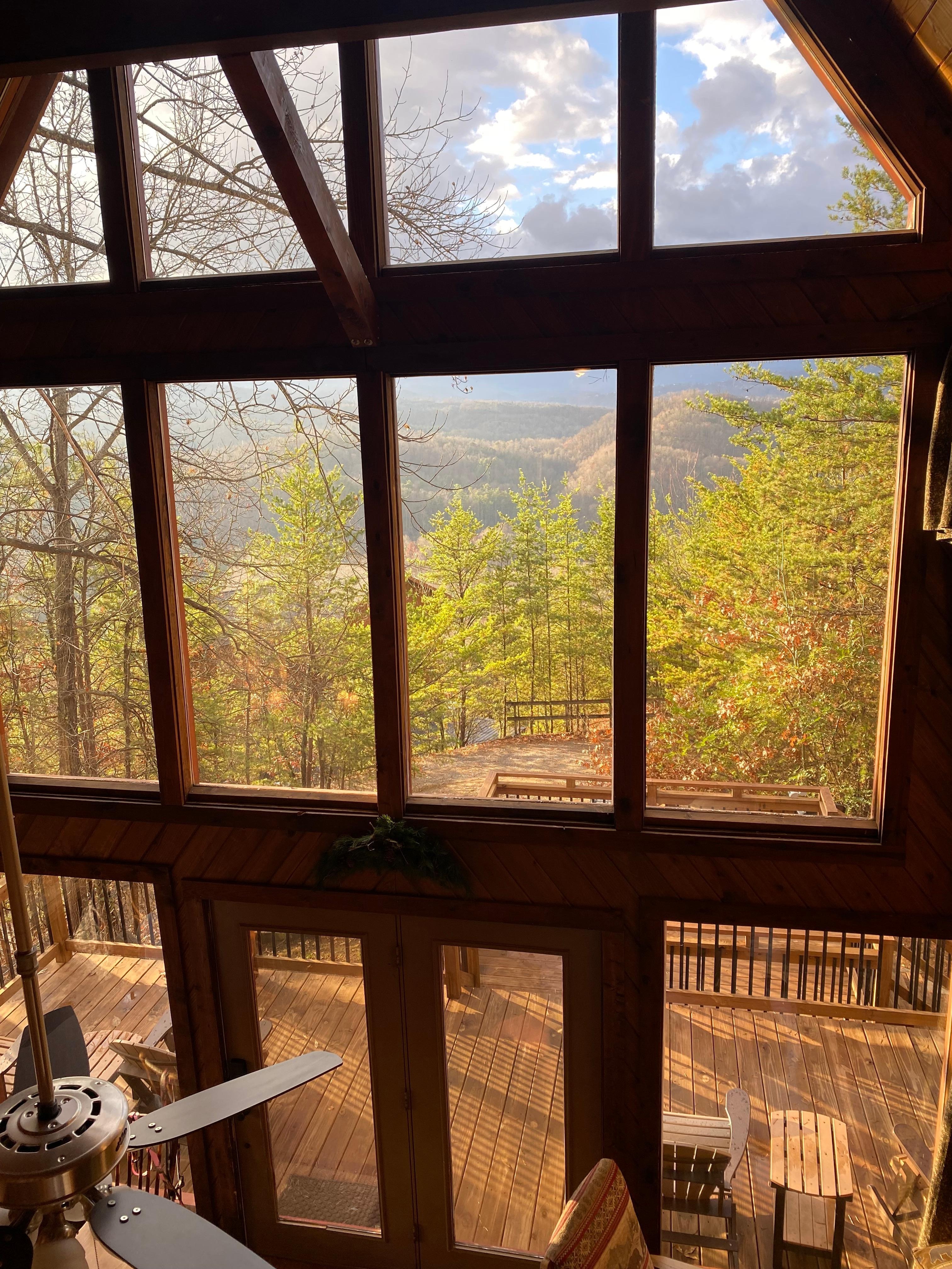 View from indoor balcony (safe for dogs & kids)