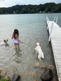 Great for kids and their dog friends.