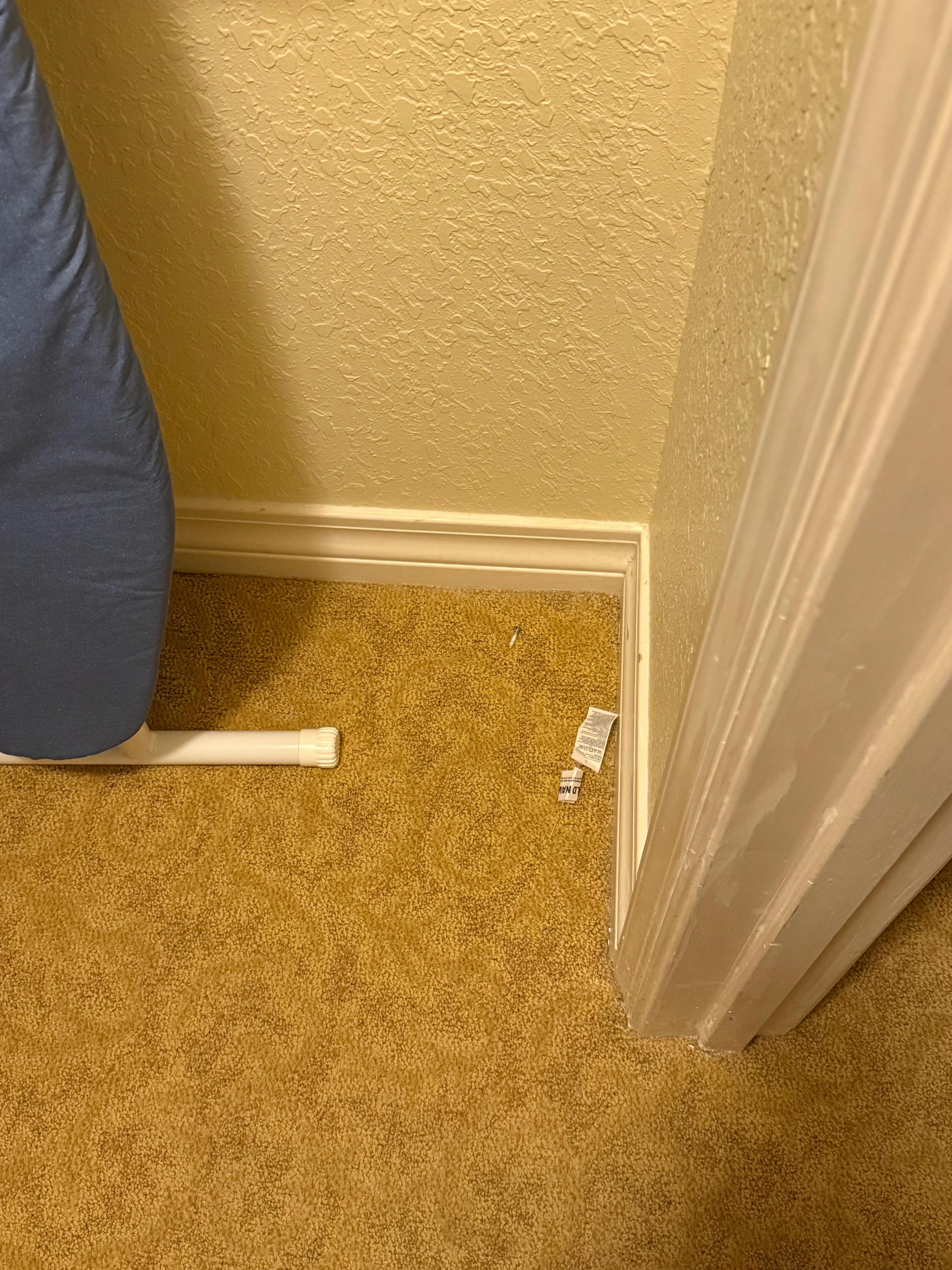 Clearly not vacuumed or checked for garbage from previous tenants