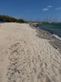 Strand voller Algen und das Meer voll mit Steinen