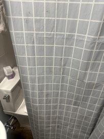 Moldy shower curtain