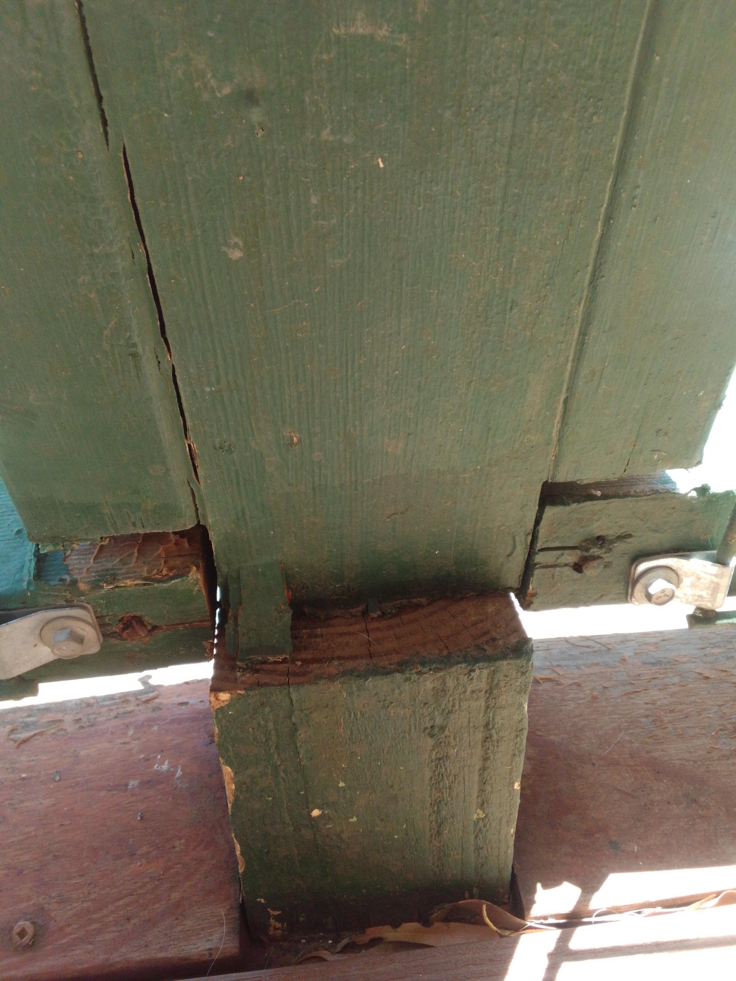 Wood snapped while we were just standing there