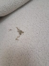 Just one of 4 beds with badly stained linen