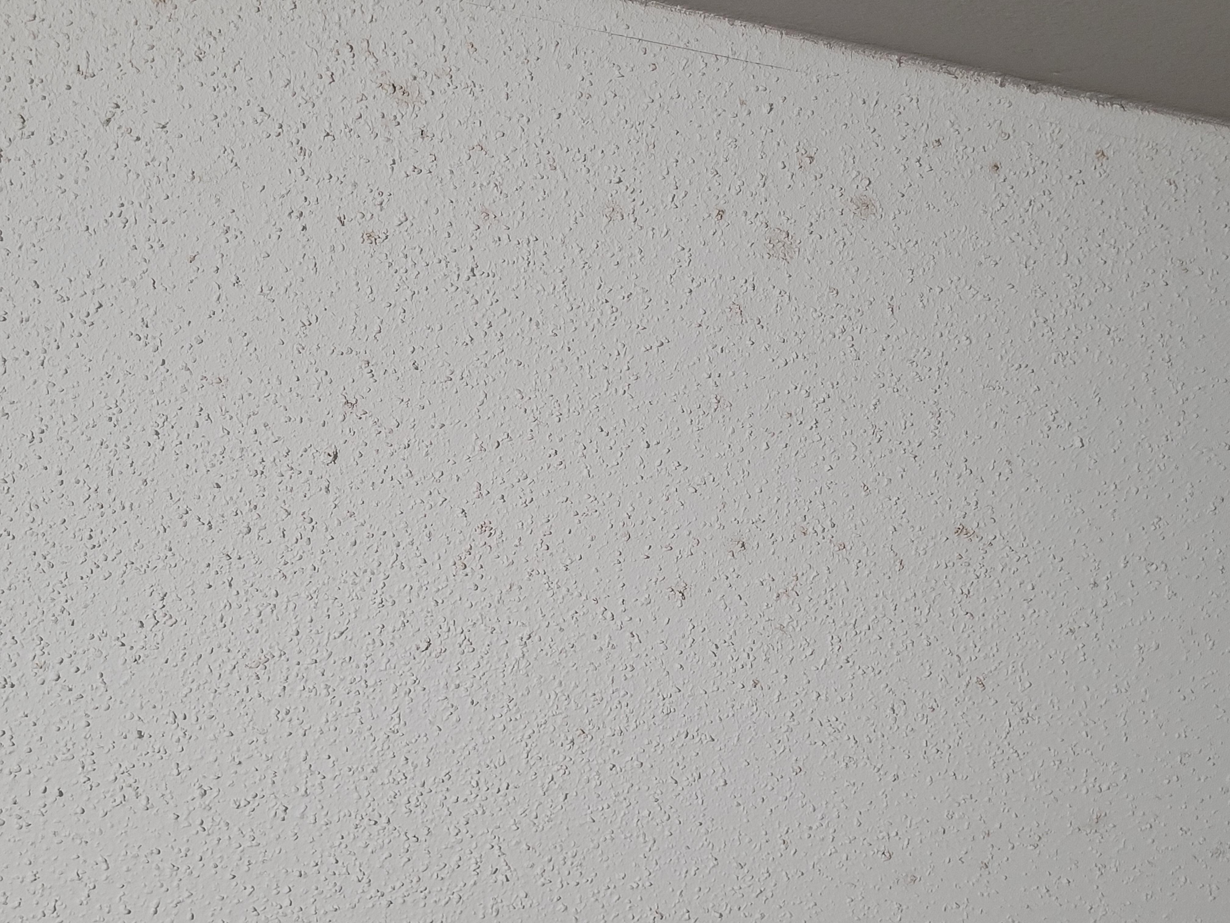 Mold