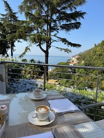 Terrace view