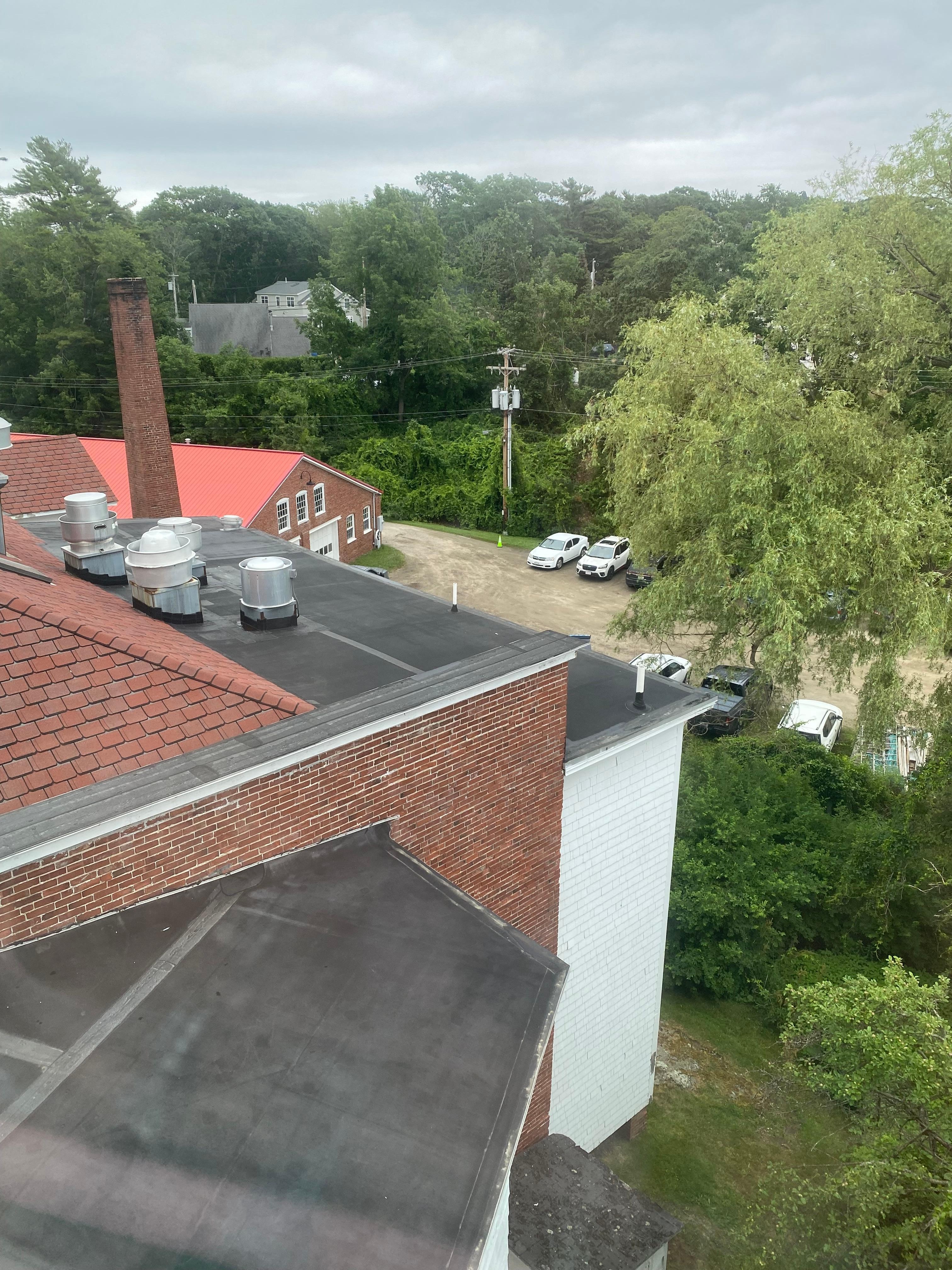 Garden view?