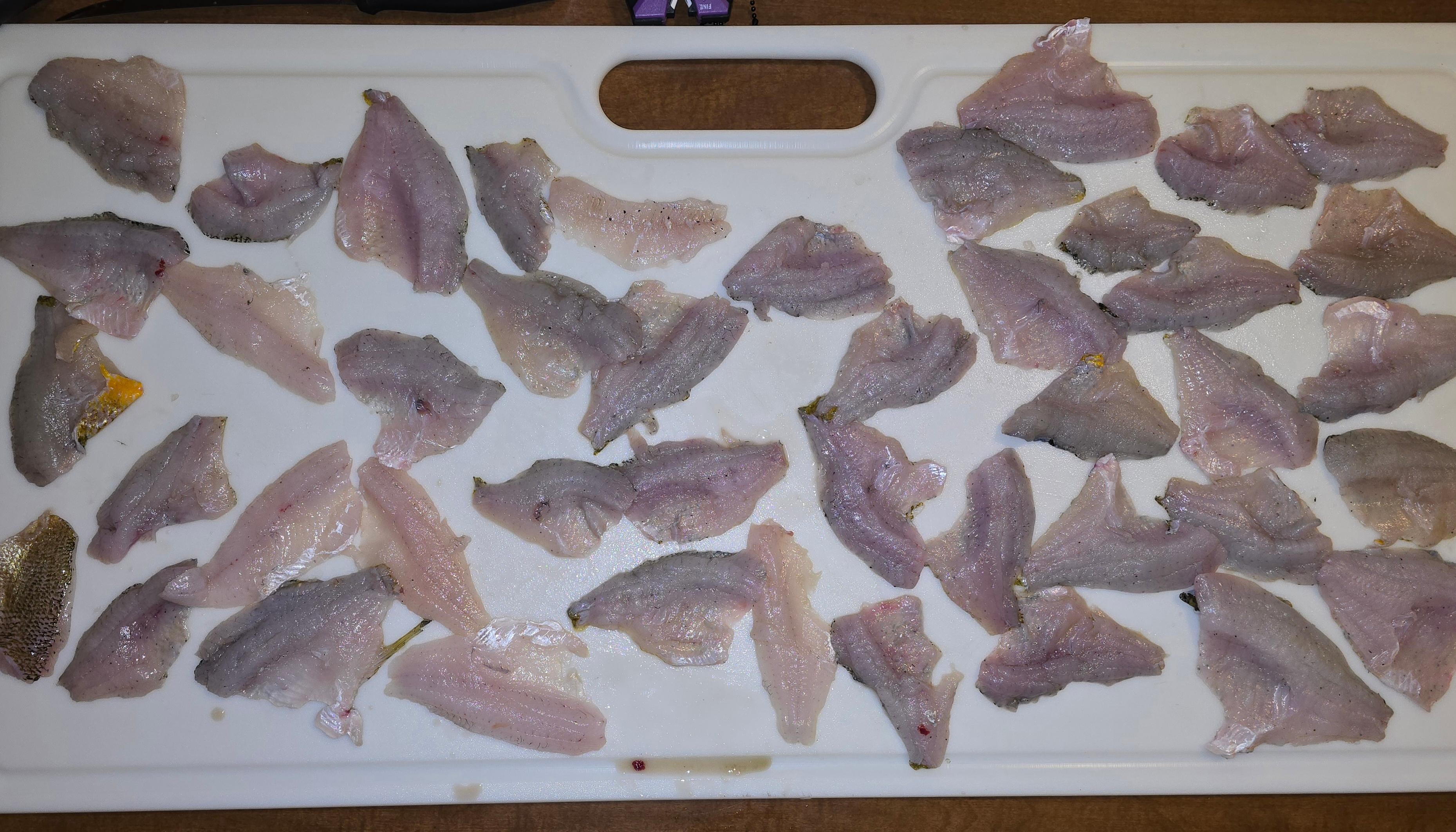Nice catch of panfish