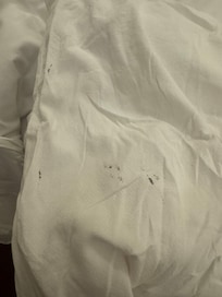 The rooms were not clean, and the duvets were dirty — I’ve attached pictures showing the condition.