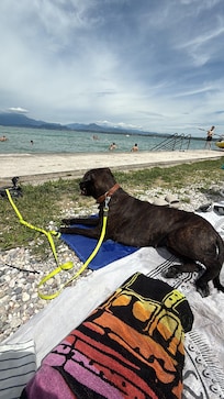 Hundestrand
