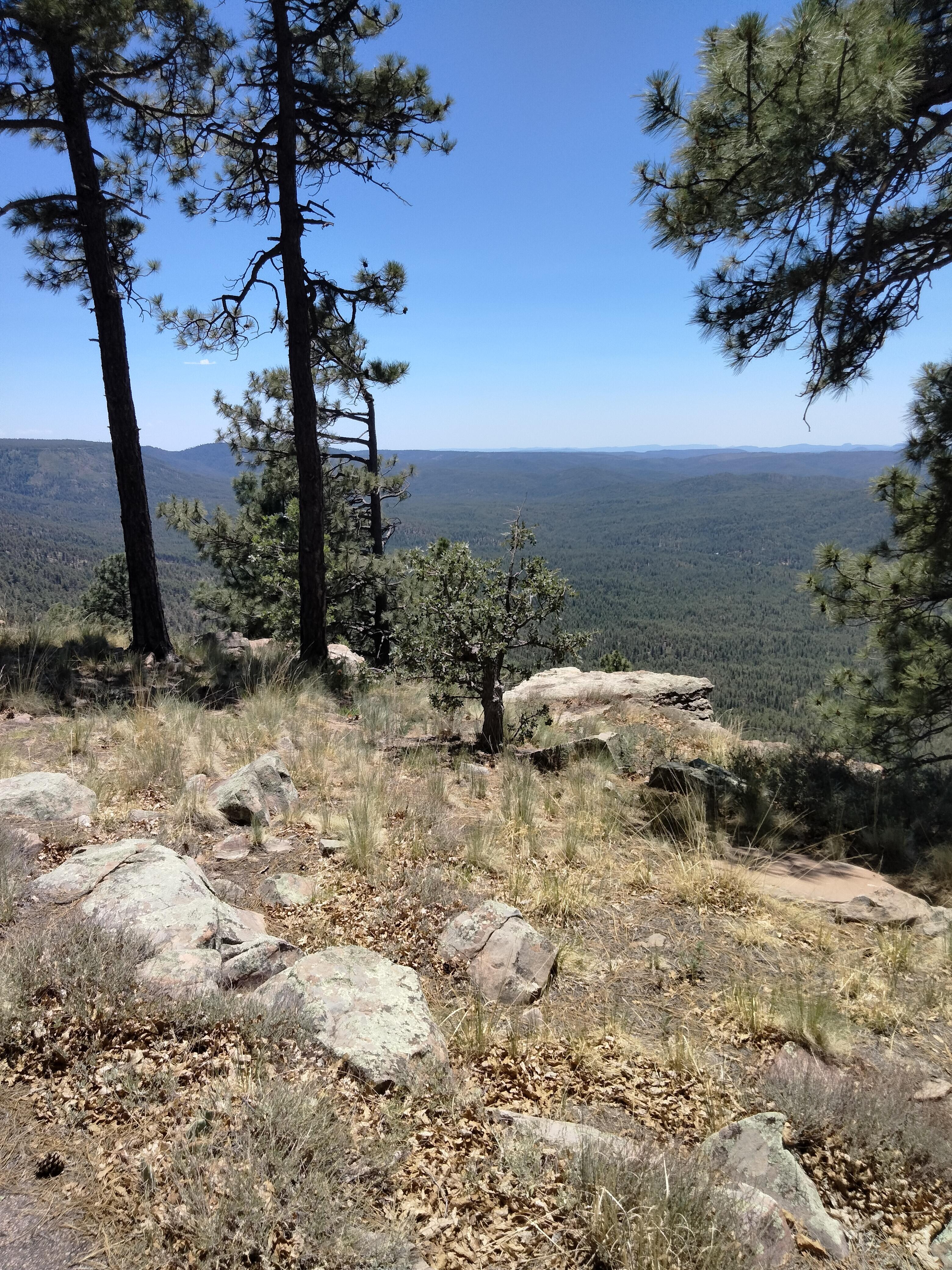 Nice ride to the Rim.