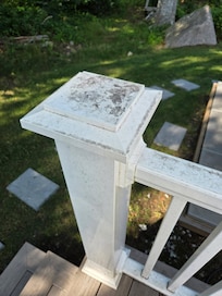 Railing covered in black mold