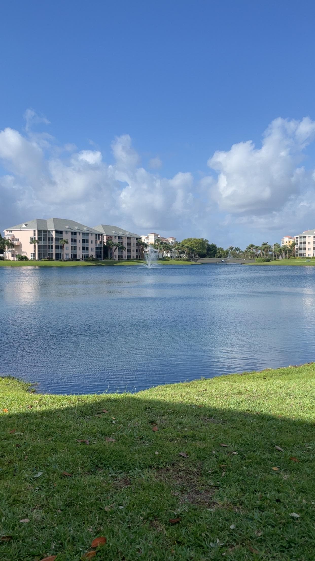 Lake view from the screened porch 