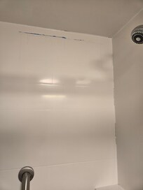 Loose grout, cleaner not wiped off shower wall