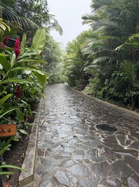 Road to reception