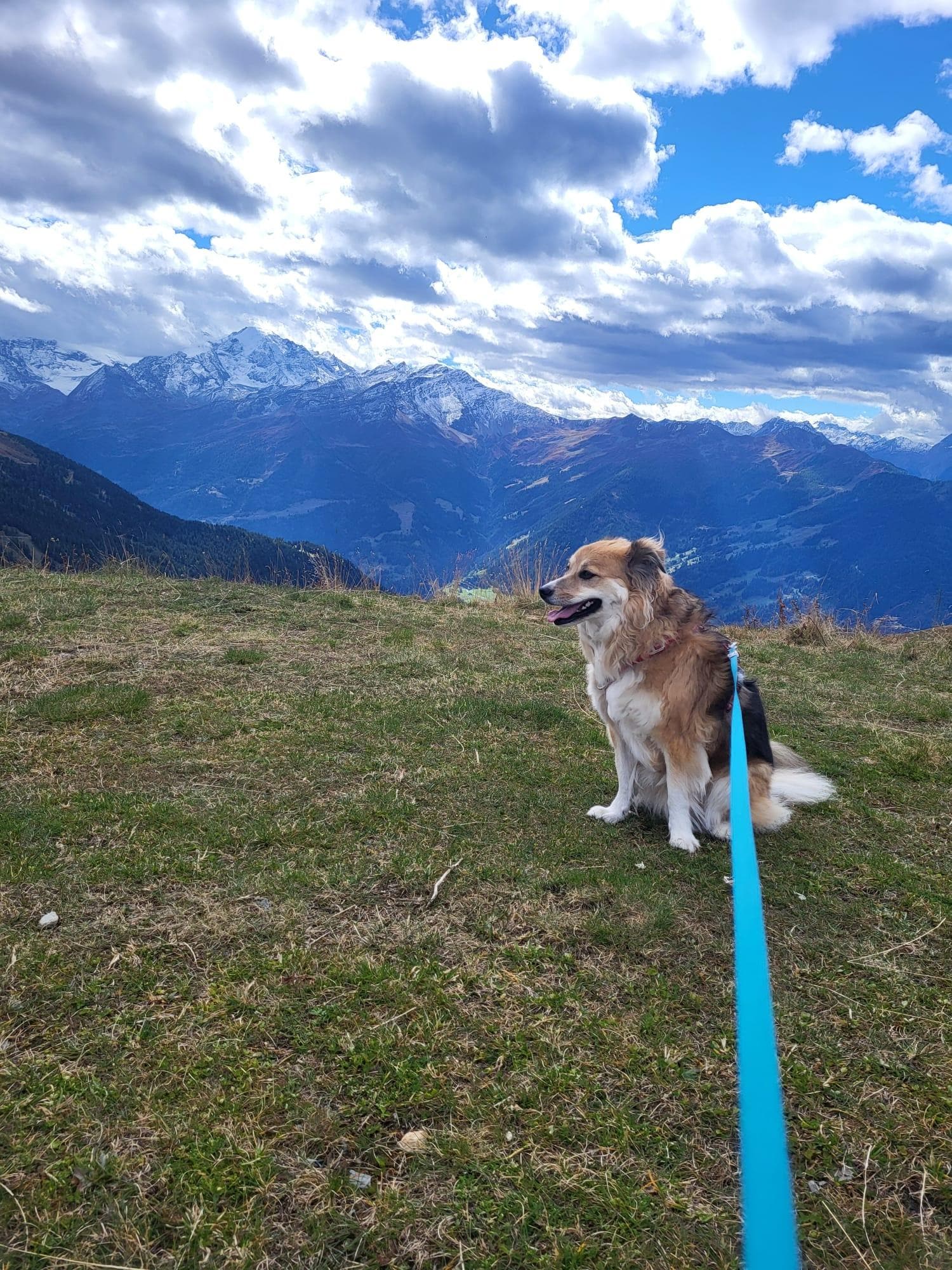 Sie war auch glücklich 😊