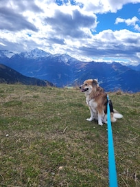 Sie war auch glücklich 😊