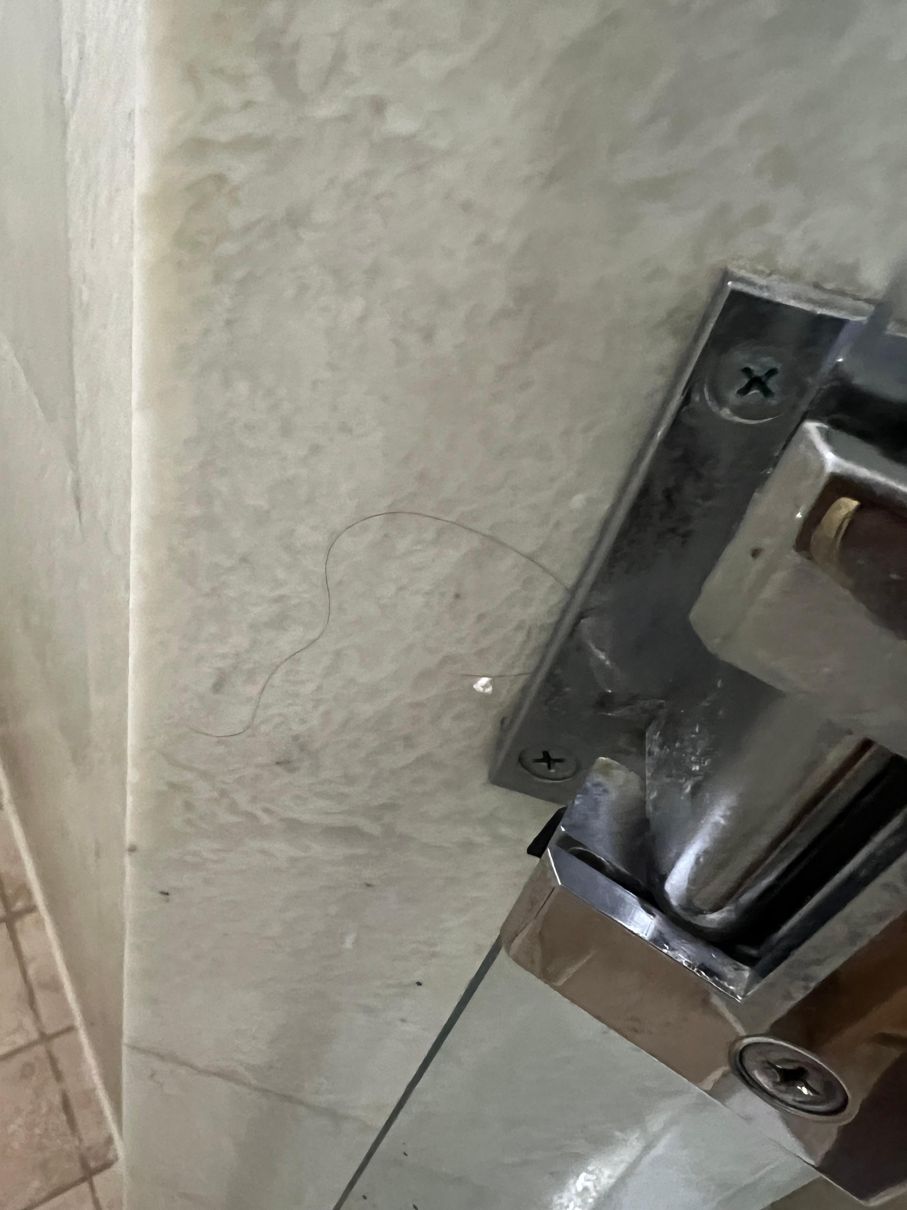 Hair on the shower walls 