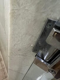 Hair on the shower walls