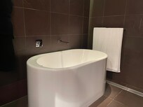 Junior executive suite bathroom