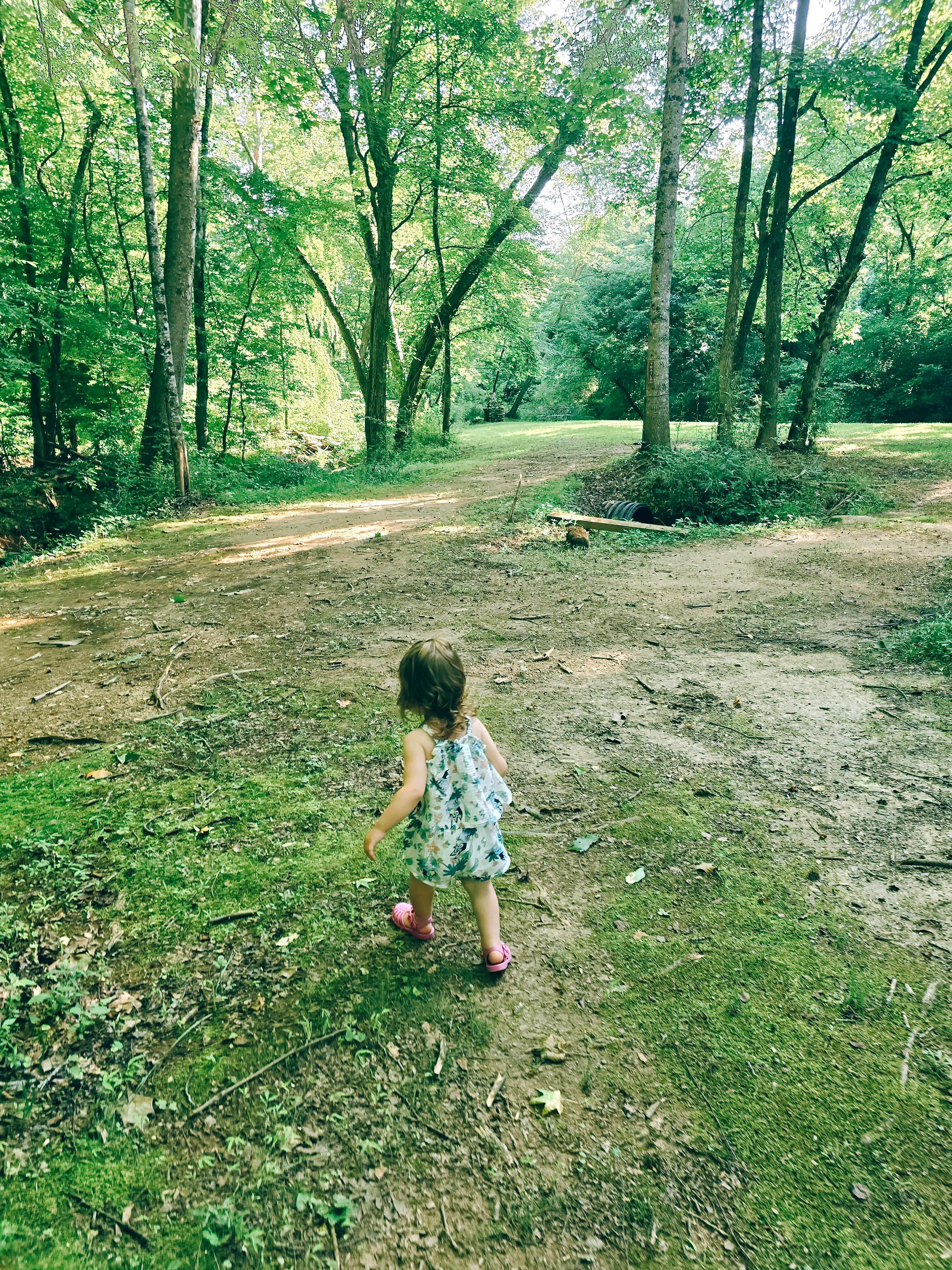 Walk to the creek