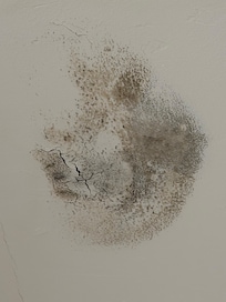 Mildew stain on bathroom ceiling