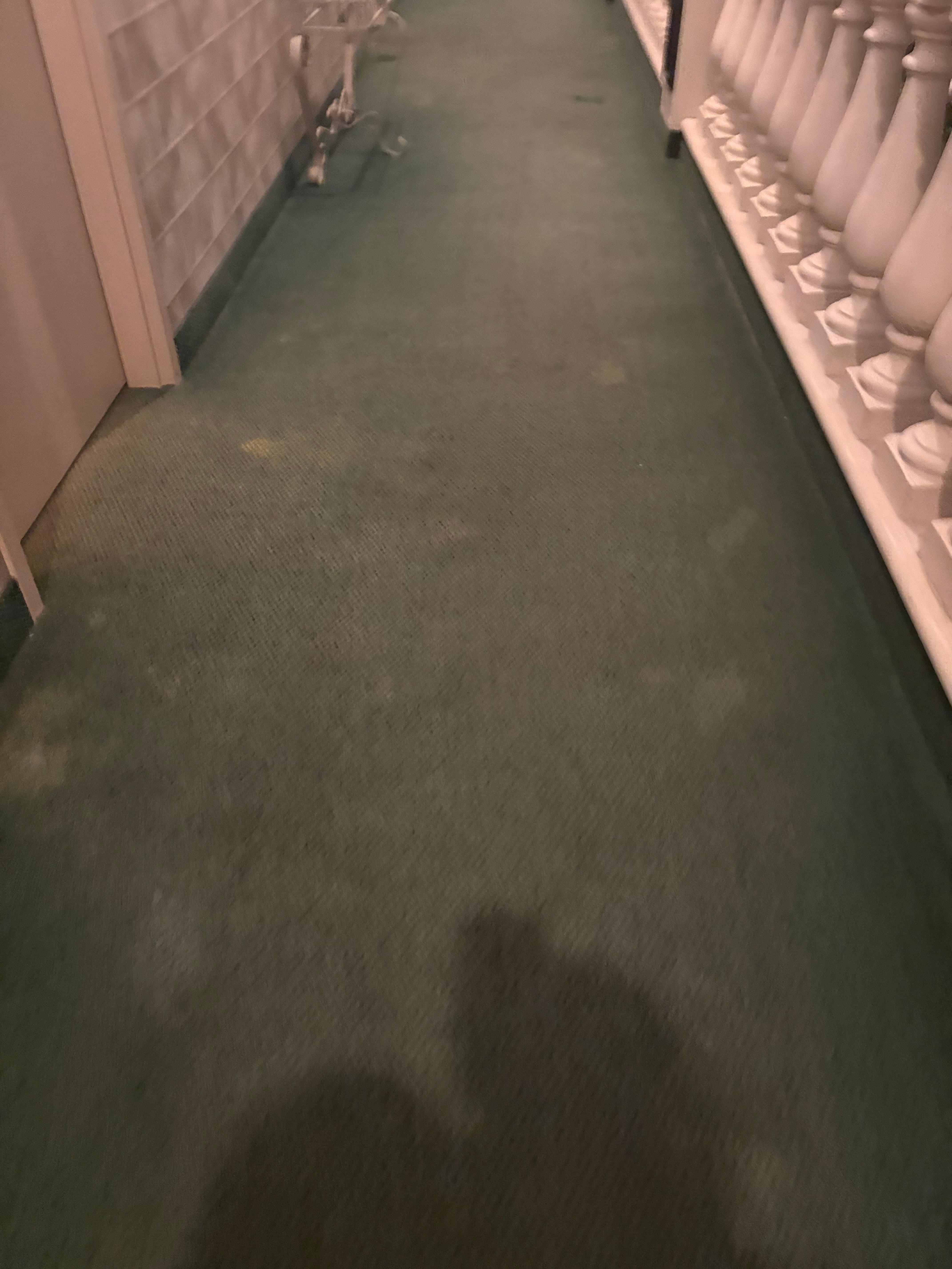 Stains in the hallway