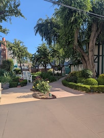 Peaceful outdoor area