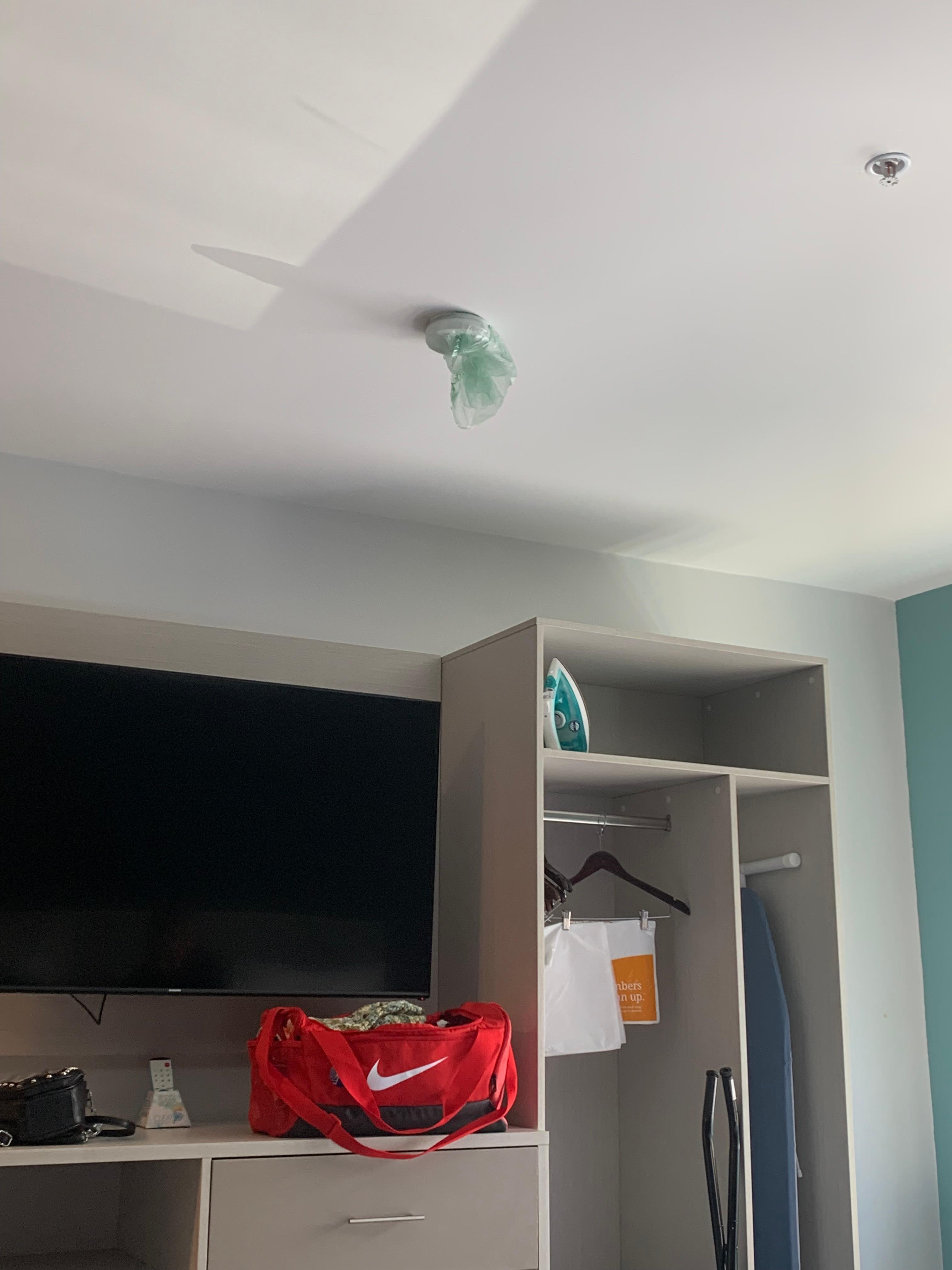 Came into the room with it like this?